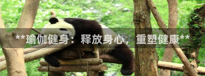 龙8游戏官方网站p