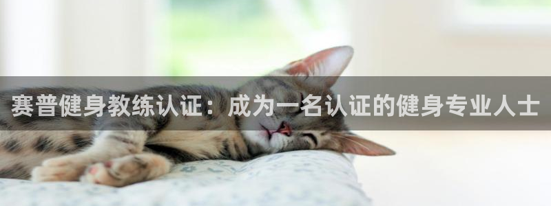 龙8游戏平台的网站