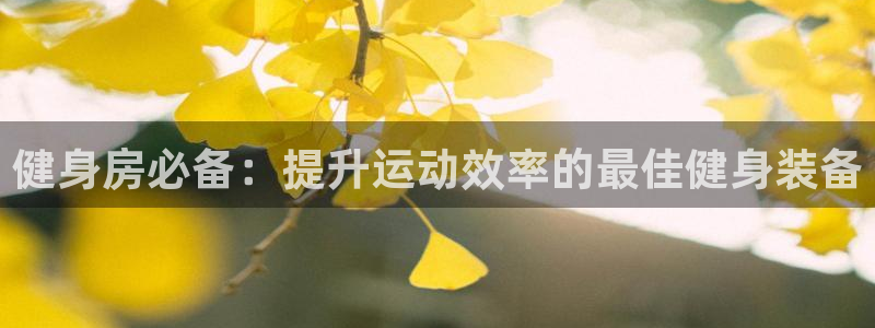 龙 八国际