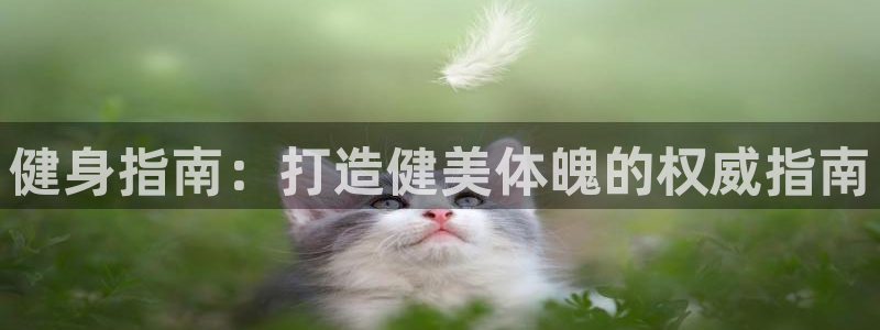 龙8国际app 下载