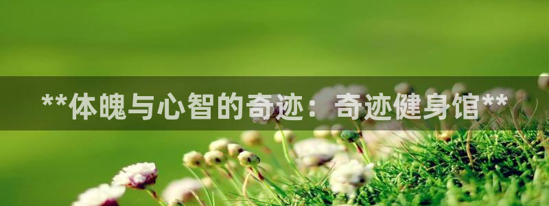 龙8国际官网点此进入游戏