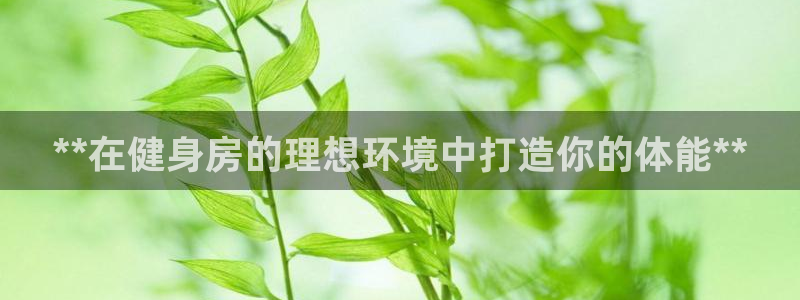 下载龙8国际