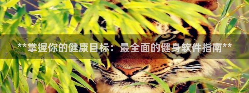 下载龙八国际官网