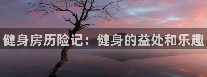 龙8国际官方网