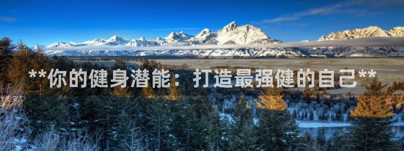 龙八国际官方网