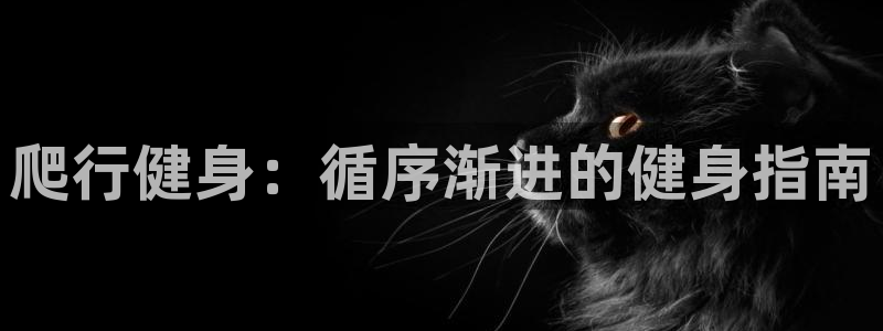 龙八国际app客户端下载