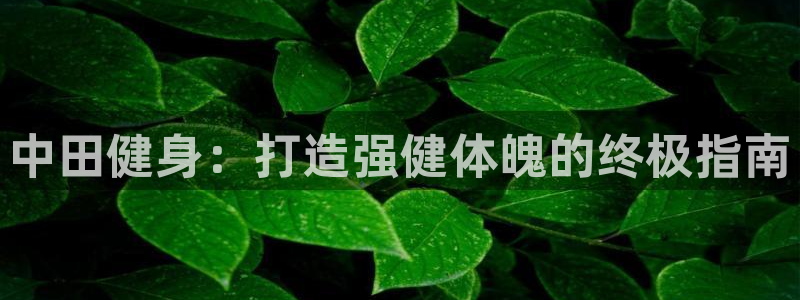 龙8国际为啥改名叫头号玩家了
