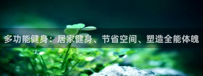 龙8官网老虎机游戏主页
