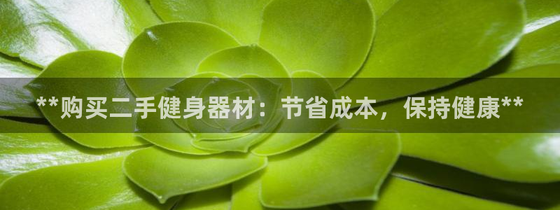 龙8国际为啥改名叫头号玩家了呢