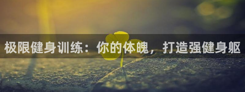 龙8国际app下载安装