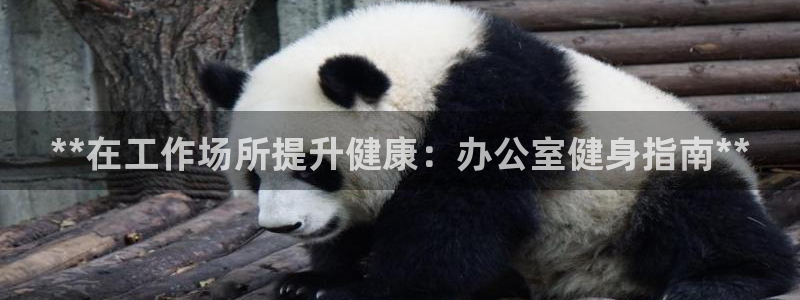 龙八国际2018最新官网