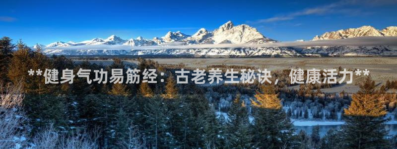 龙8国际中国