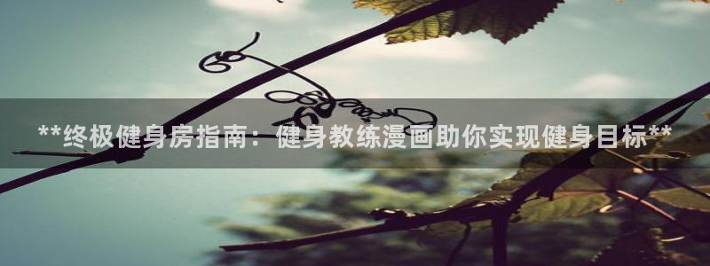 龙8国际官方网站手机版