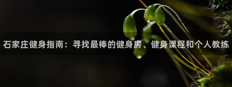 龙8老虎机手机版