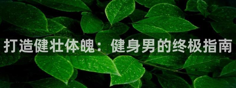龙8国际手机游戏官网版
