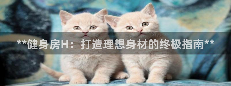龙8国际提现