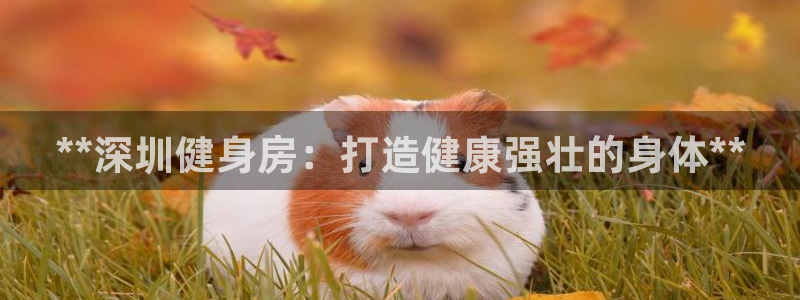 龙八国际app客户端下载不了
