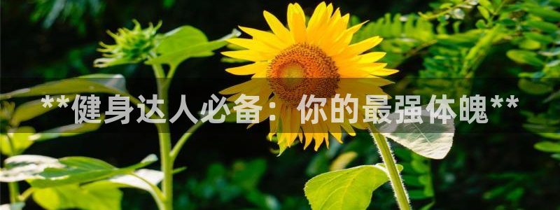 龙8国际2020官方网站