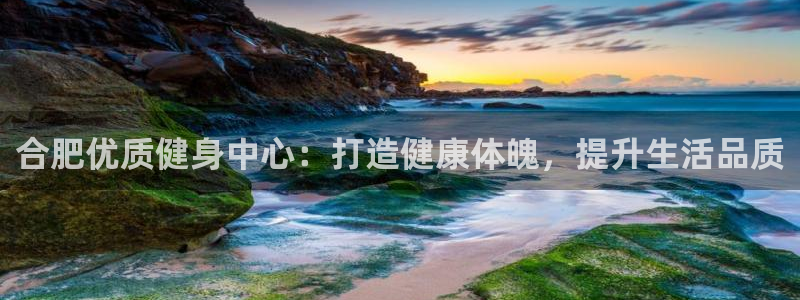 龙8国际网页版下载