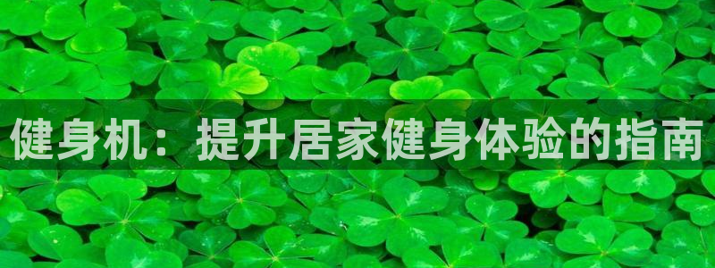 龙8游戏官方网站s