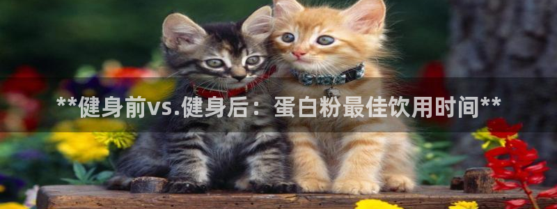 龙8国际app 下载