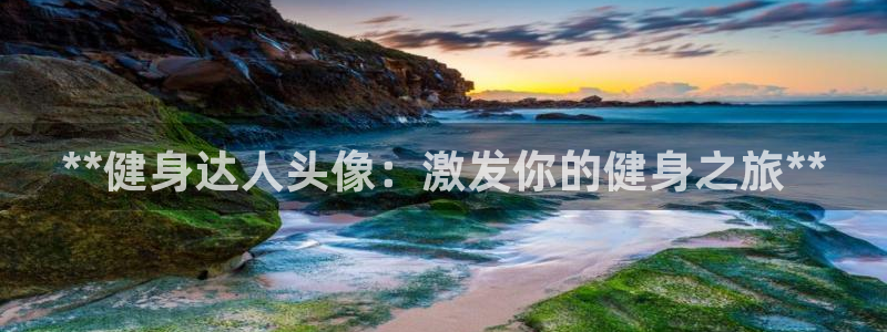 龙8国际的官方网站
