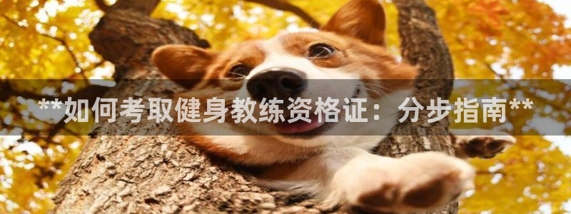 龙8国际app 下载