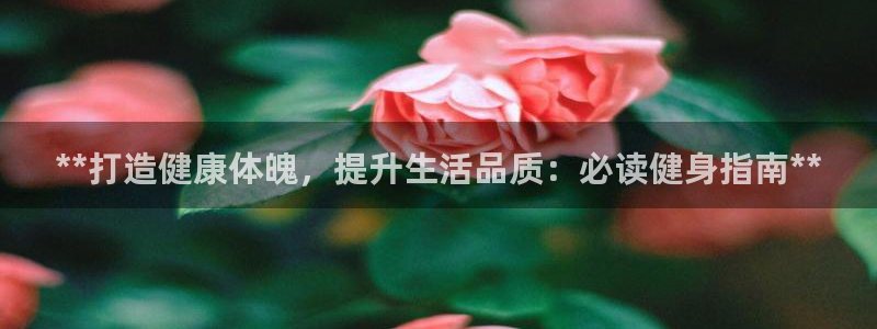 龙8国际城