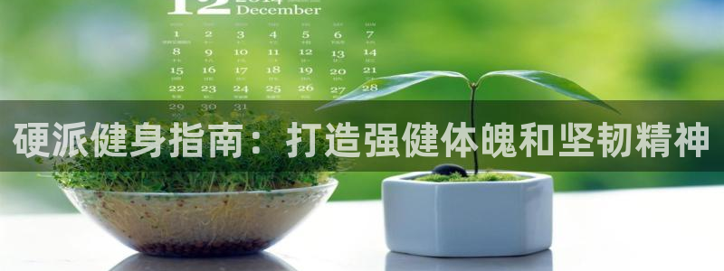 龙8国际官方网