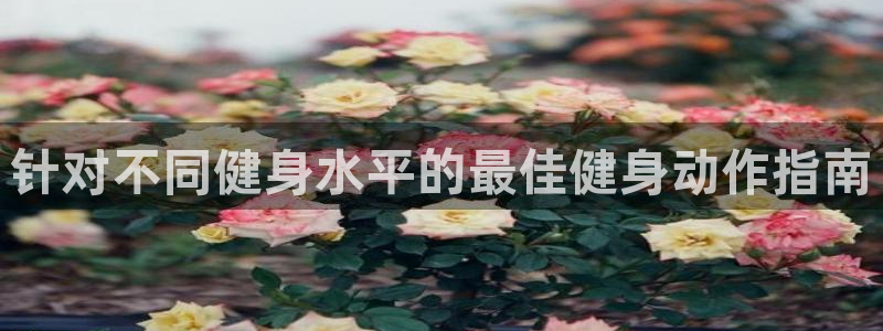 龙8国际手机游戏官网