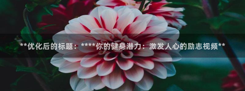 龙8国际pt网址官方