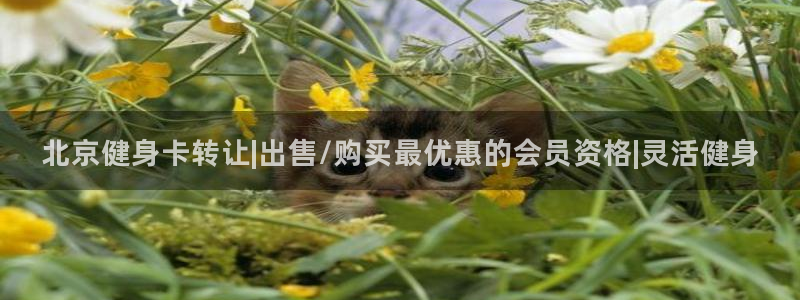 龙8国际-注册