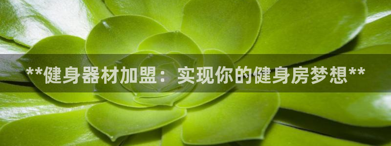 龙8国际pt客户端下载