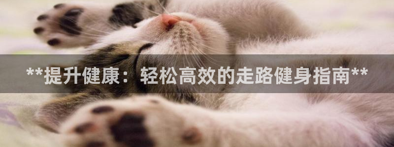 龙8国际总代理