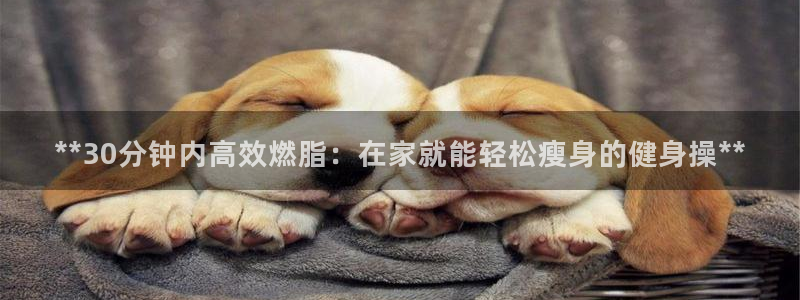 龙8国际app下载客户端