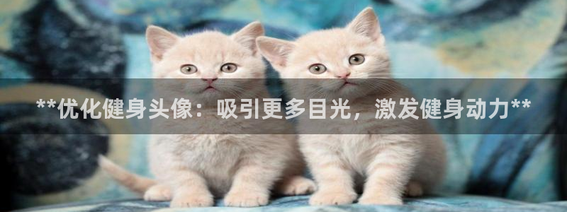 龙8国际app客户端下载