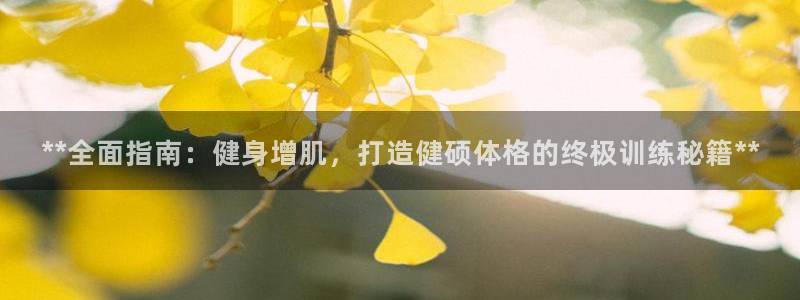 龙8国际登录地址