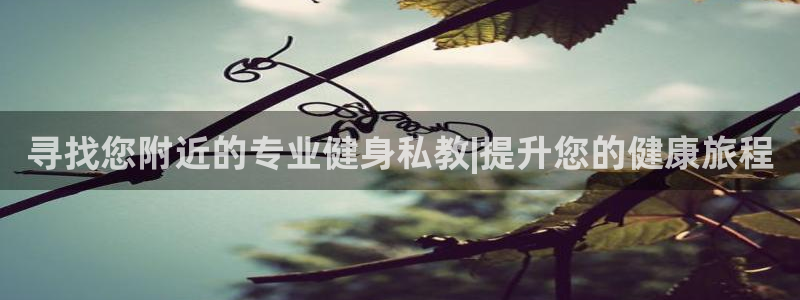 龙8官网游戏