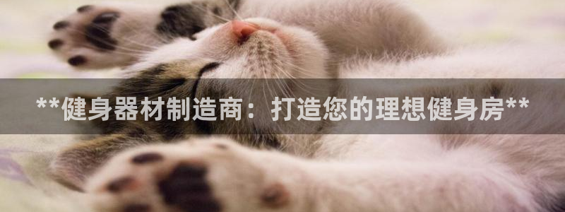 龙8国际登录网址推荐ag87253