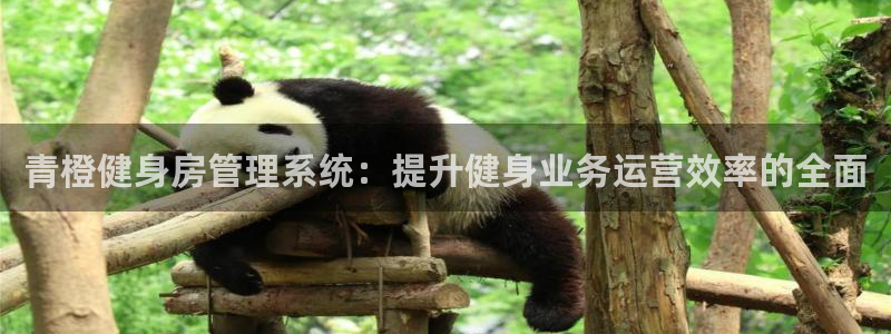 龙8国际真钱