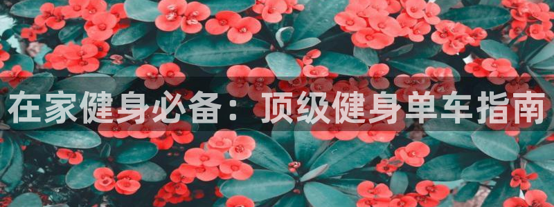 龙8国际头号玩家