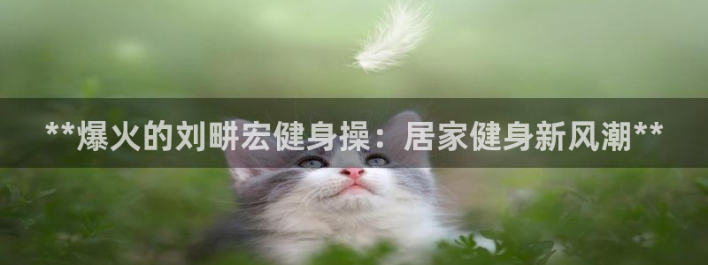 龙八国际2018最新官网