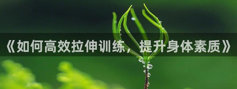 龙8国际玩家
