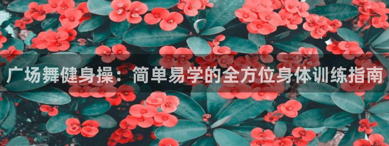 龙8游戏平台的网站