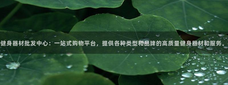 龙8国际官网进入