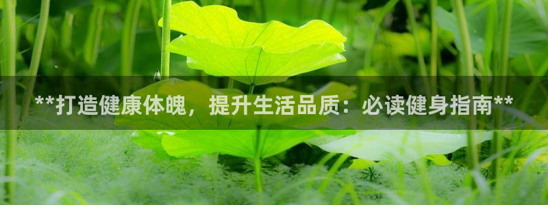 龙8国际官网多少