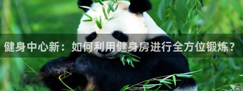 龙8游戏官方进入