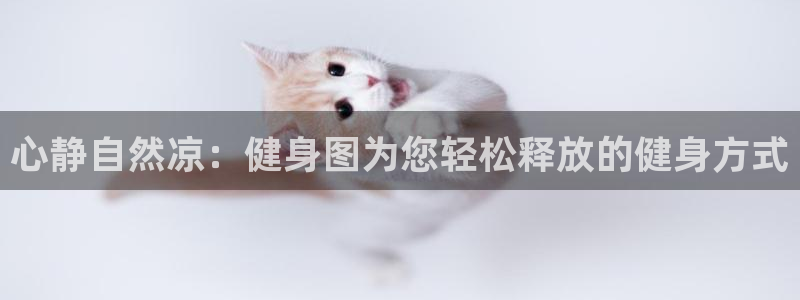 龙8国际老虎机官方