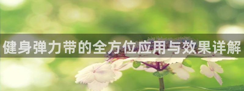 龙8国际游戏最新资讯