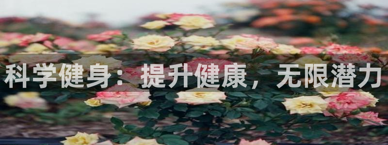 龙8游戏平台老虎机